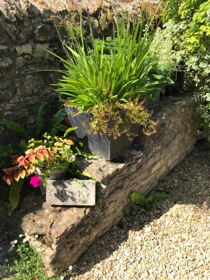 Norburton Hall Cottages Bridport Esterno foto